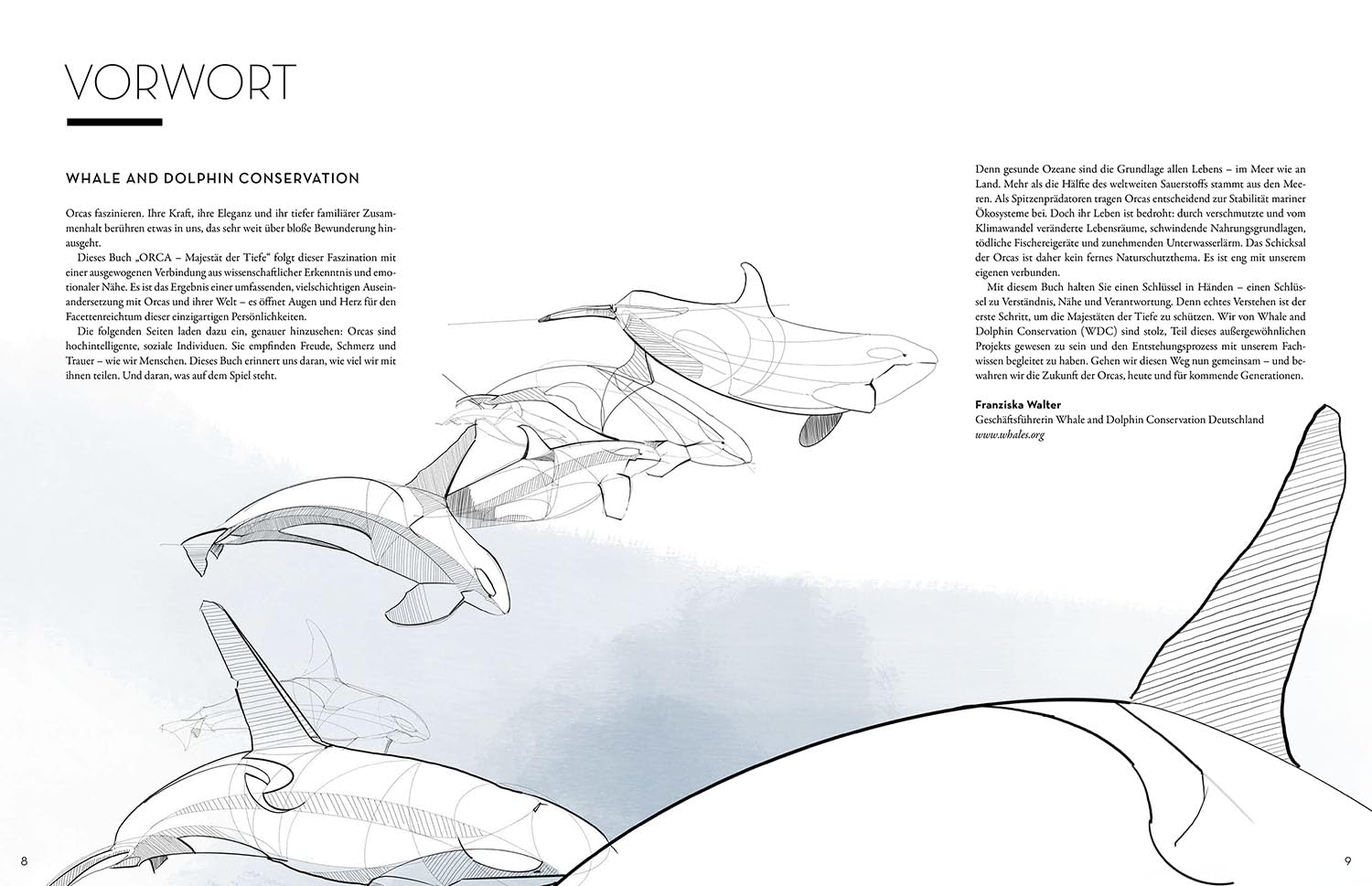 Orca: Majestät der Tiefe - Eine visuelle Reise in die Welt der Orcas. Wissensfakten erklärt anhand ästhetisch-emotionaler Illustrationen. Extra: Stories über die bekanntesten Orcas aller Zeiten.