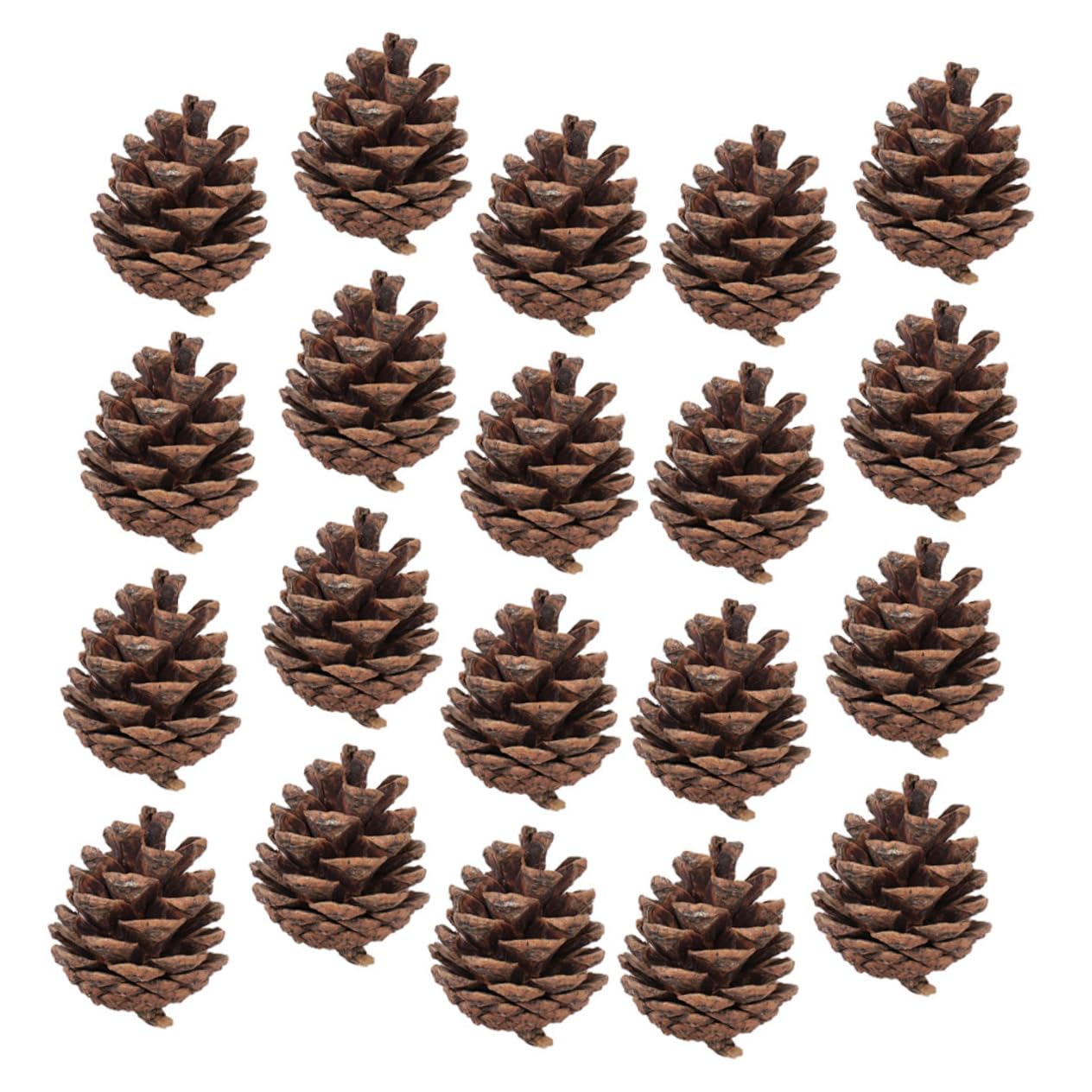 Decorazioni Natalizie Naturali Pigne Fai Da Te, Pigne Di Natale 5-7 Cm Per Alberi, Ghirlande e Decorazioni Da Appendere, Set Da 30 Pezzi Per Festa e Artigianato Stagionale