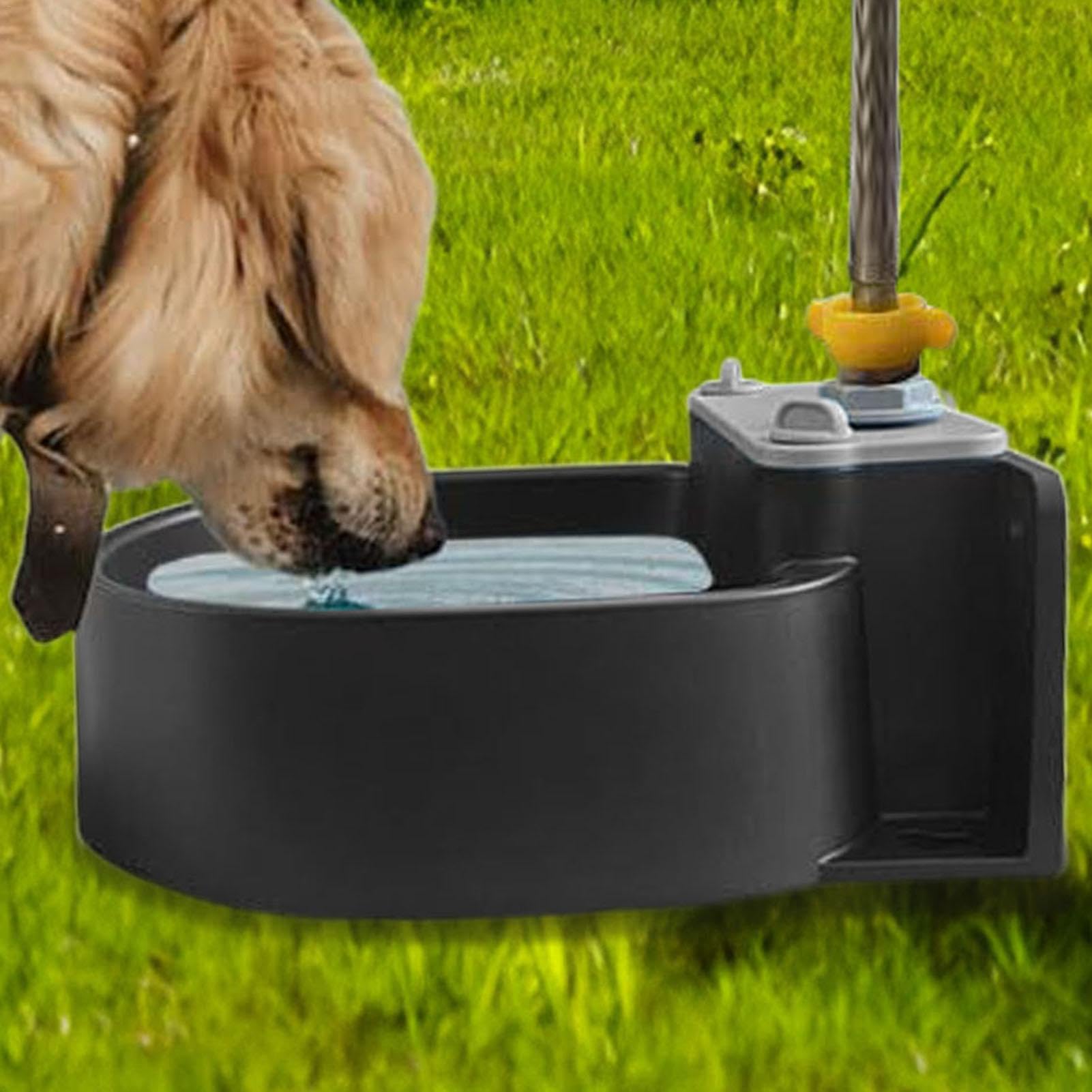 Dispenser automatico per d'acqua per cani, automatica per acqua per cani