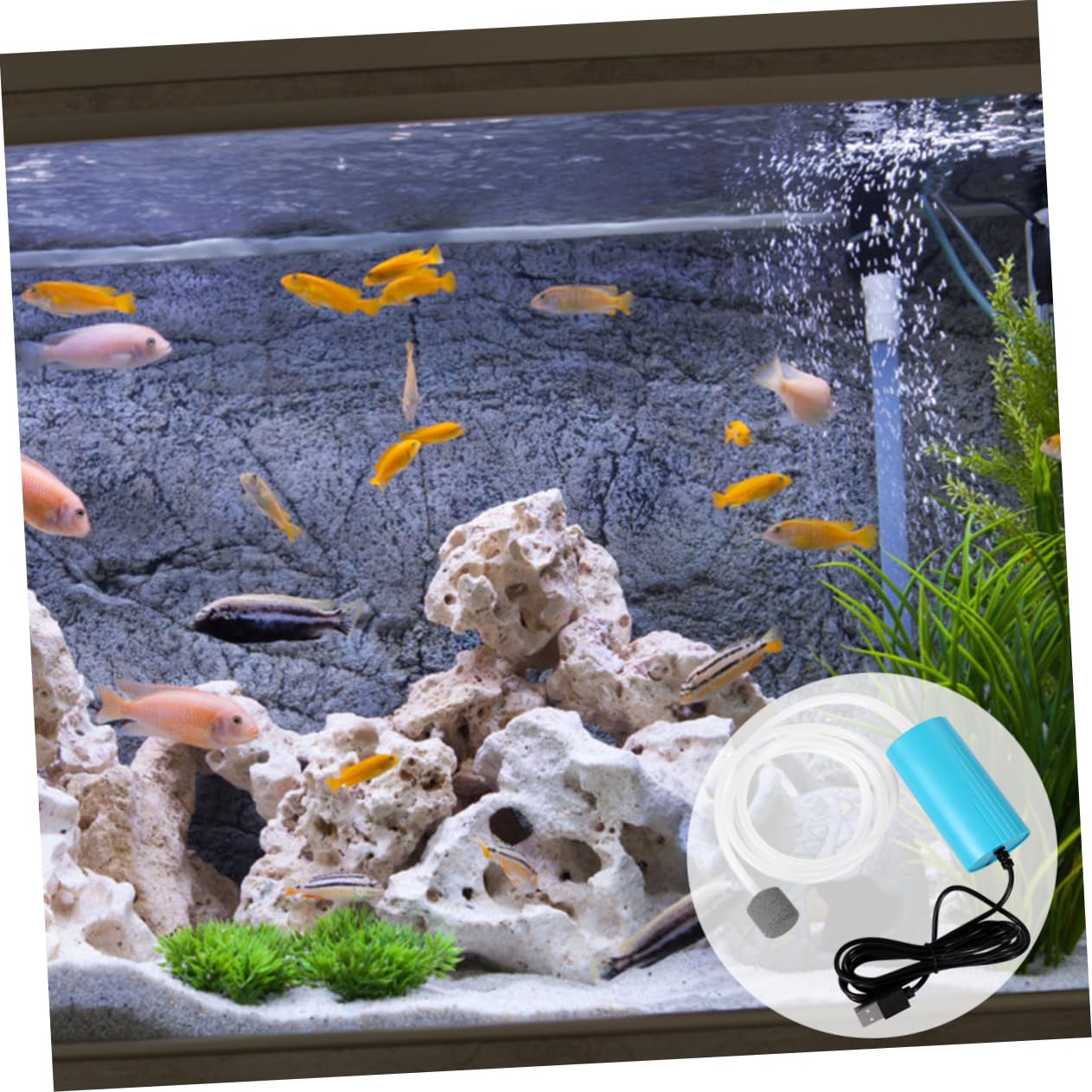 Happyyami Bomba De Oxigeno Pecera Bomba De Piedra Burbujeador De Acuario Bomba De Agua Hidropónica Minibomba De Aire Bomba Portátil Pequeño para Pecera Filtros para Peceras Abs Blue