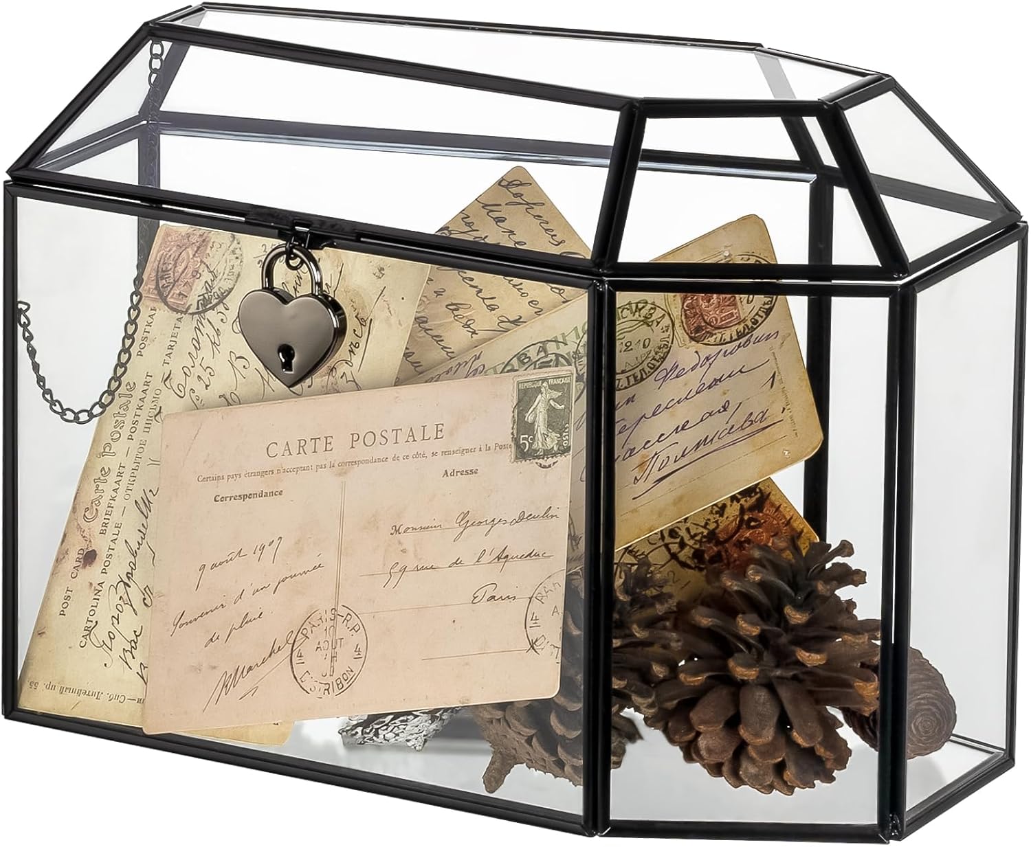 NCYP Gothic Glass Box with Swing Lid and Lock, Geometric Keepsake Card Display Organizer for Wedding Party - Halloween Decoration, Black Coffin-Shaped Terrarium, 10.4" x 5.7" x 7.5" (Glass Box Only)
