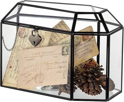 NCYP Gothic Glass Box with Swing Lid and Lock, Geometric Keepsake Card Display Organizer for Wedding Party - Halloween Decoration, Black Coffin-Shaped, 10.4" x 5.7" x 7.5" Glass Box Only