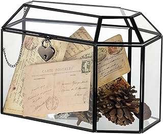 NCYP Gothic Glass Box with Swing Lid and Lock, Geometric Keepsake Card Display Organizer for Wedding Party - Halloween Decoration, Black Coffin-Shaped Terrarium, 10.4" x 5.7" x 7.5" (Glass Box Only)