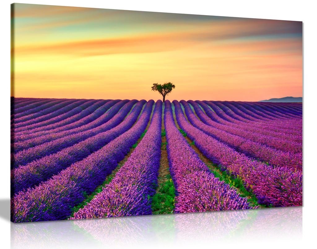 Panther Print Orange,Purple Purple Lavender Field With Orange Sunset Canvas Wall Art Picture Print (36X24)