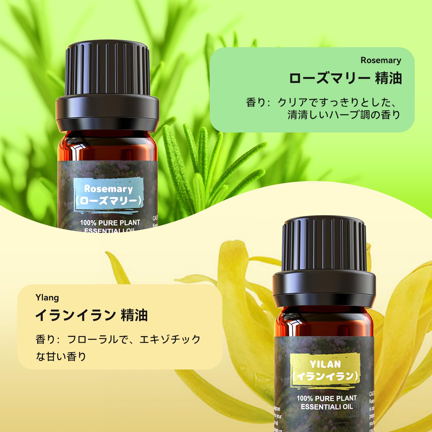 Amazon.co.jp: アロマオイル 6種セット ナチュラル 精油