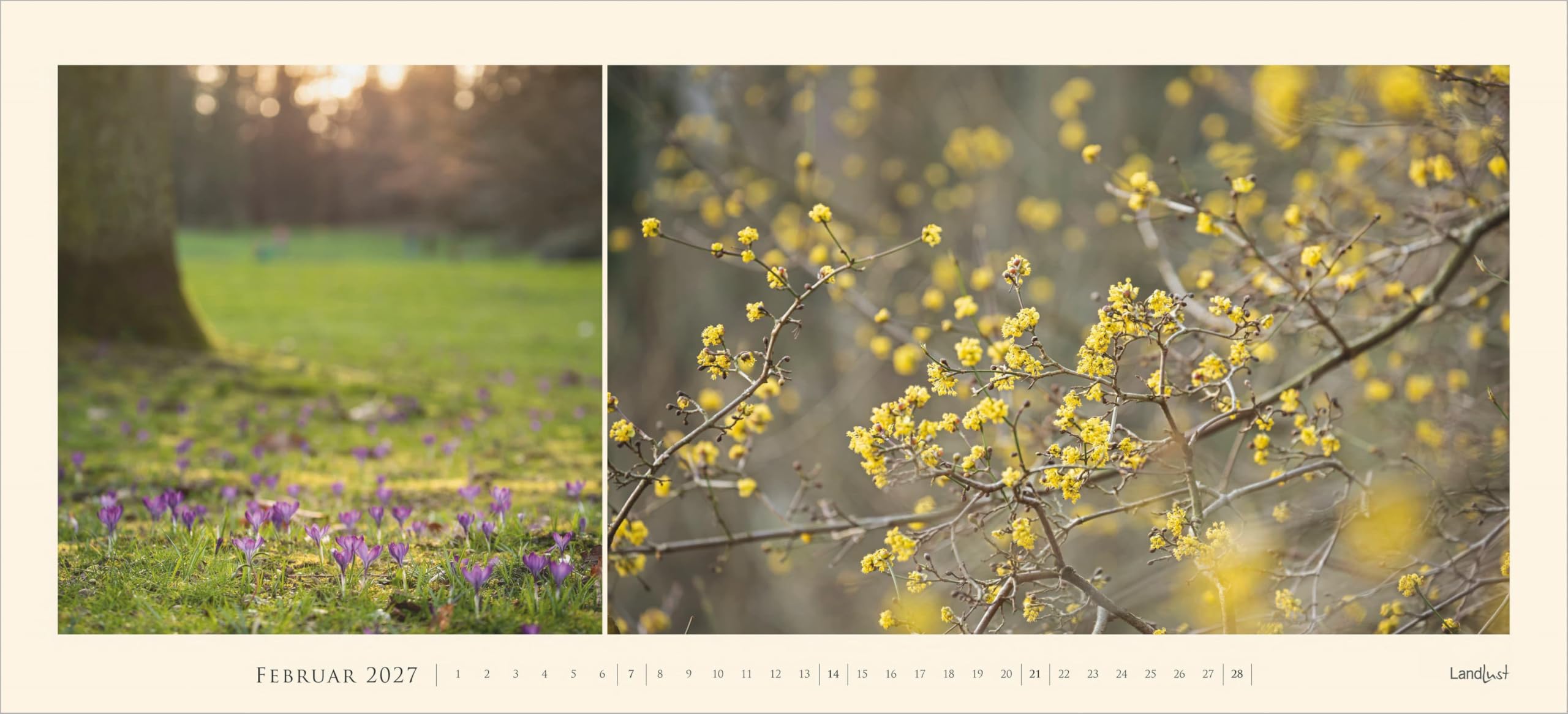 LandLust Panorama: Garten-Kontraste 2027: Wandkalender 110x50 cm mit großformatigen Fotografien aus Landhaus-Gärten | Wandkalender 110x50 cm mit großformatigen Fotografien aus Landhaus-Gärten