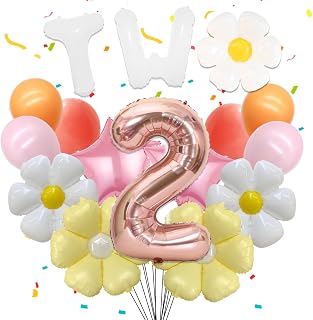 Two Groovy Party Decorations - 16PCS Groovy 2nd Birthday Balloons Daisy Balloon Decorations Star Daisy Balloon Set Boho Pink Orange Two Groovy Balloons Birthday Decorations Supplies Girls