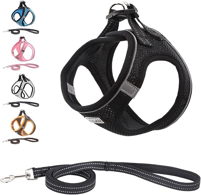 Suredoo Pet Reflective Soft Mesh Dog Harness and Leash Set, No Pull Breathable Padded Step in Vest Harness Leash Set, Comfort Training Walking for Small Dogs Cats Puppies (XXS, Black)