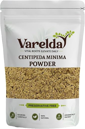 VARELDA Centipeda minima Powder - Nakchikni Powder - Centipeda Minima (1000 Grams)