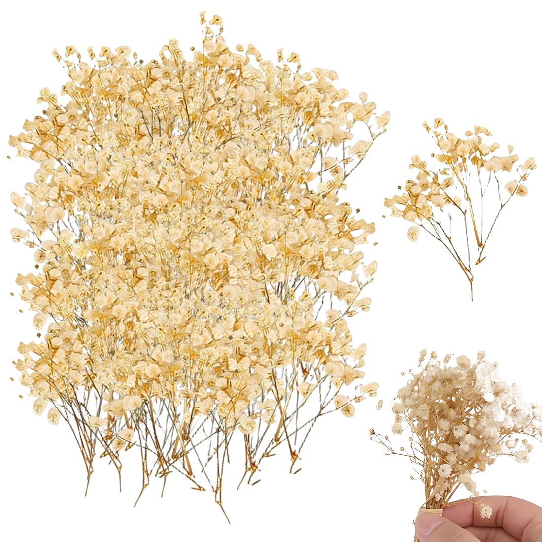 100 Pezzi Gypsophila Essiccata Bianchi Fiori Secchi per Decorazioni Nozze