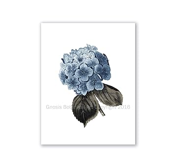 原画 フラワーアート 花の絵 花柄 ボタニカル 花図鑑　花　ガーデン 紫陽花 原画 フラワーアート 花の絵 花柄 ボタニカル 花図鑑 花