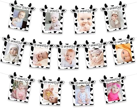 13PCs Cow 12 Month Photo Banner - 1st Birthday Baby Banner for Newborn to 12 Months, Cow Print Party Decorations, Farm Barnyard Cowboy Cowgirl First Birthday Party Supplies
