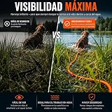 Ver la foto 8