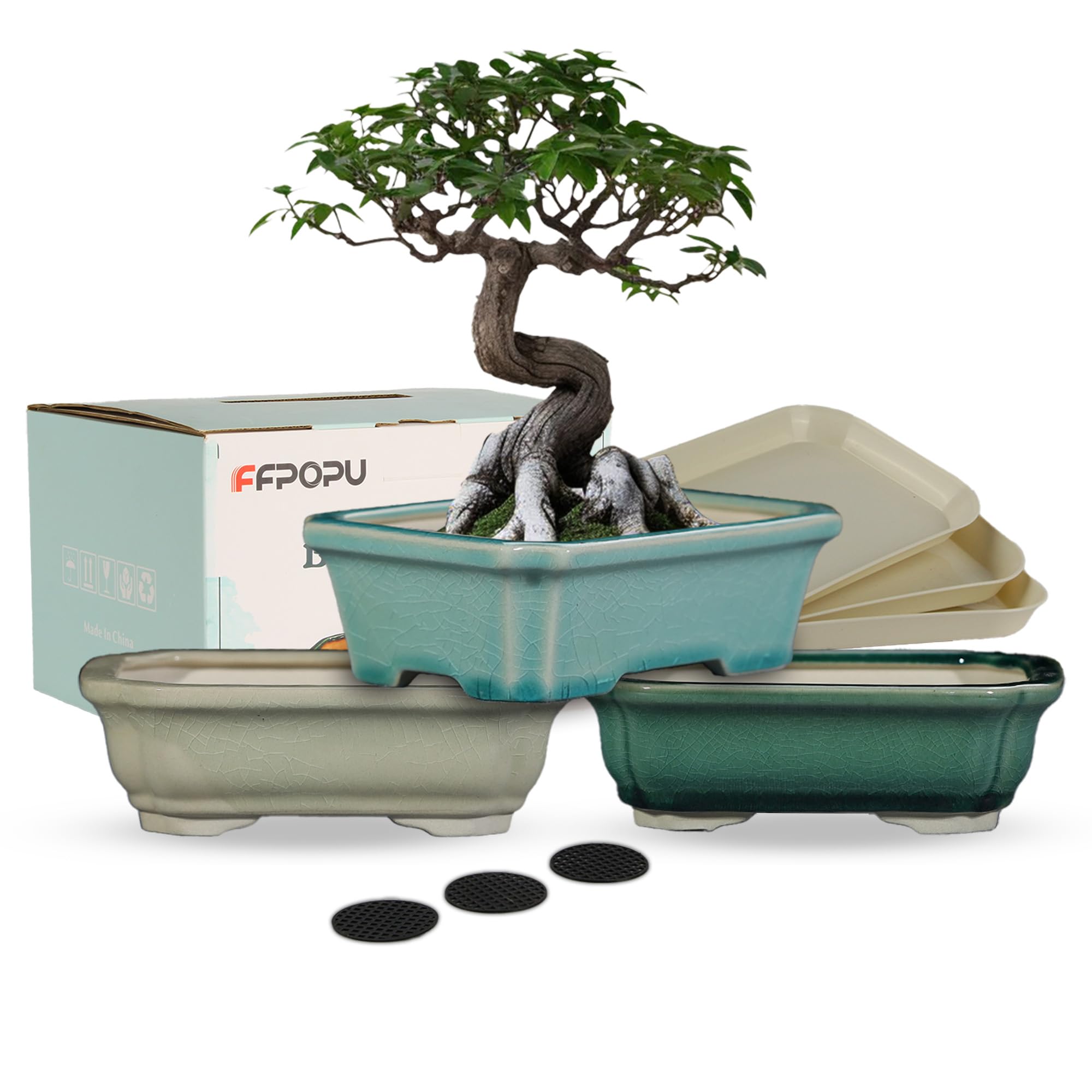 FFPOPU 3-Packs Ceramic Bonsai Pots with Drainage Tray, 6-inch Cute Bonsai Tree Pot with Ice Cracked Glaze, Small Bonsai Planter Pot for Desktop Decoration
