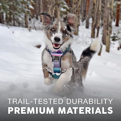Miniatura 5 de Embark Adventure - Arnés para perro con ribete reflectante sin tirones para perros grandes, nailon de grado militar, clip frontal con mango forrado
