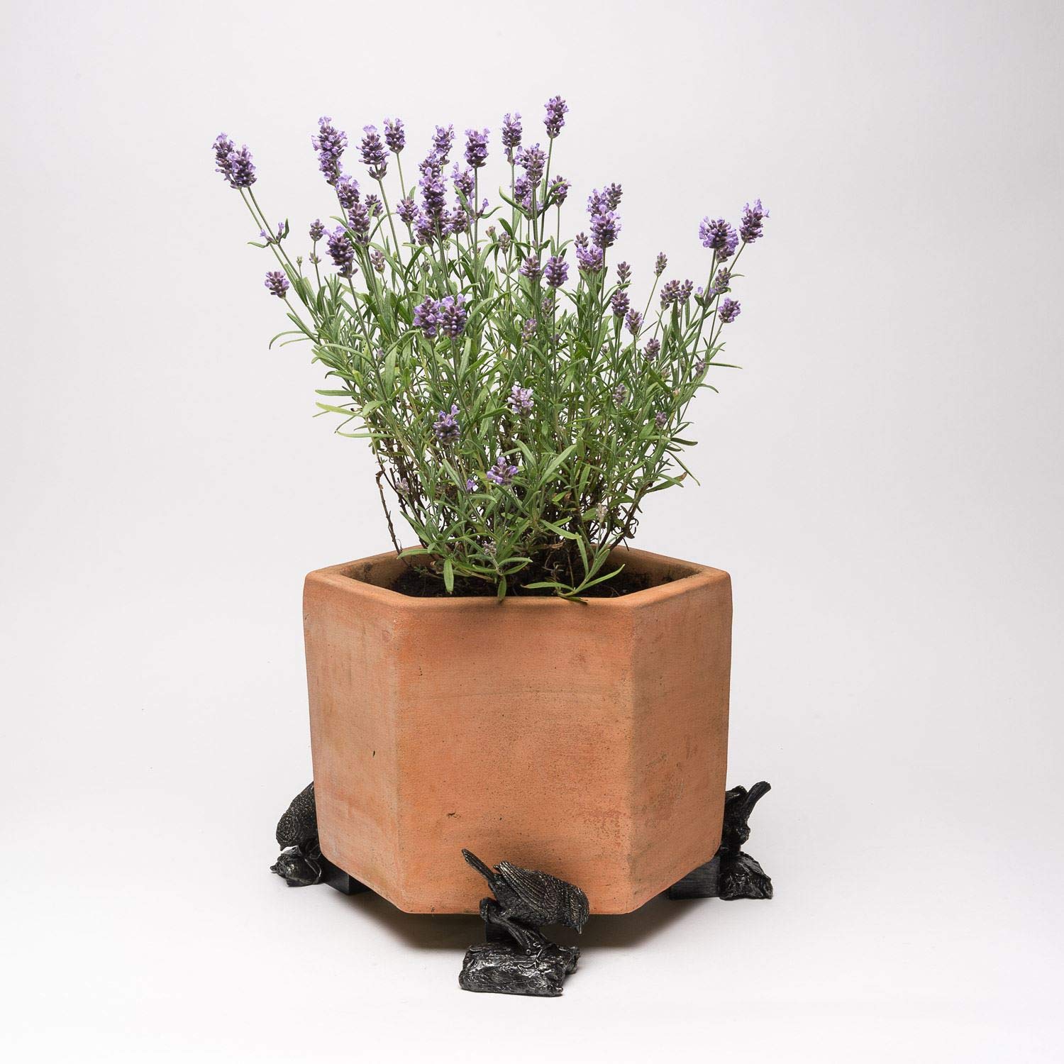Potty Feet Hedgehog Figures Plant Pot Feet - Planter Support - Handmade Decorative Ornaments - 3pcs — view 36