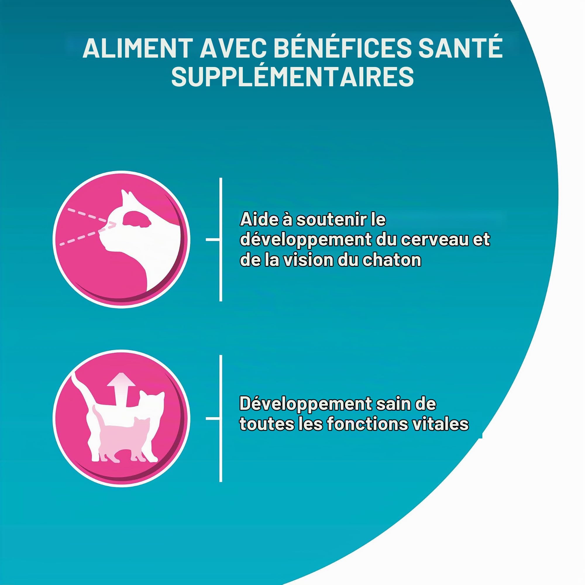 PURINA One Junior Lot de 12 boîtes de Nourriture pour Chatons humides et délicates en Sauce avec Saumon et Carottes (12 x 4 x 85 g)