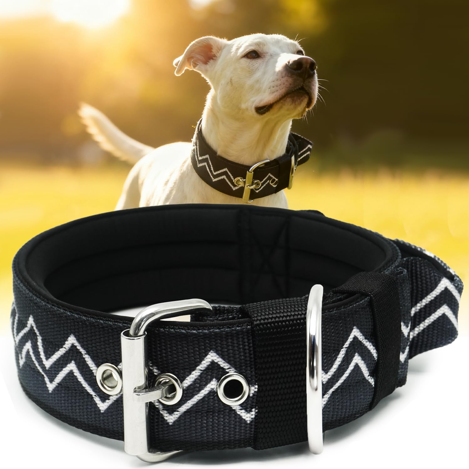 NeckShield - Collare per cani di grandi dimensioni, largo 5 cm, con imbottitura extra spessa e maniglia, protezione professionale, 58-66 cm, nero carbonio