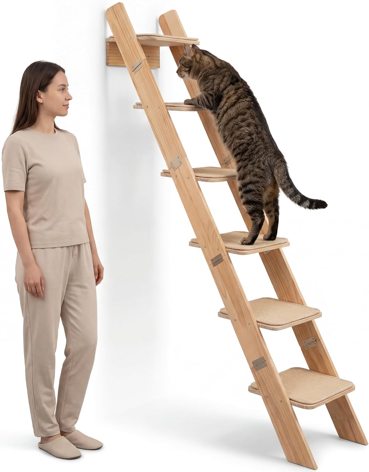 65" Tall 6-Level cat Ladder for Indoor Cats Senior I Wobble-Free Climbing with Ergonomic 55° Incline for Easy Access to Higher Surfaces I XXL Kitty wall Step Sisal I cat ladders for Less Agile Cats