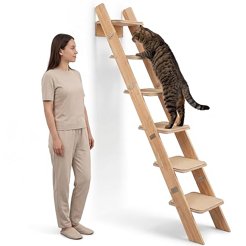 65" Tall 6-Level cat Ladder for Indoor Cats Senior I