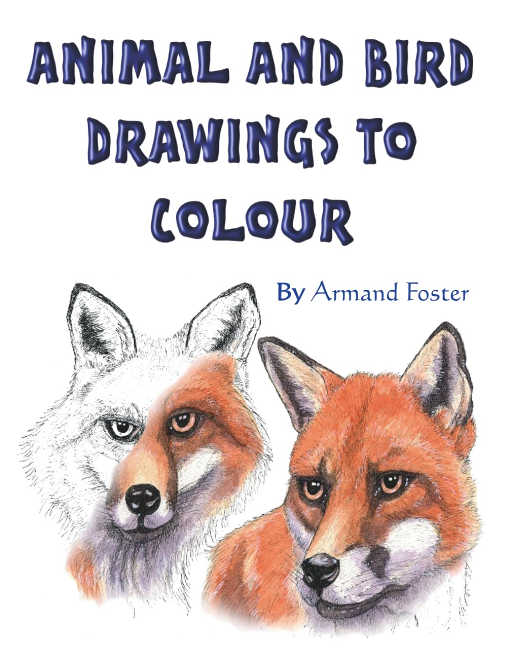 ANIMAL & BIRD DRAWINGS TO COLOUR: 31 drawings to colour by Armand Foster (COLOURING BOOKS)