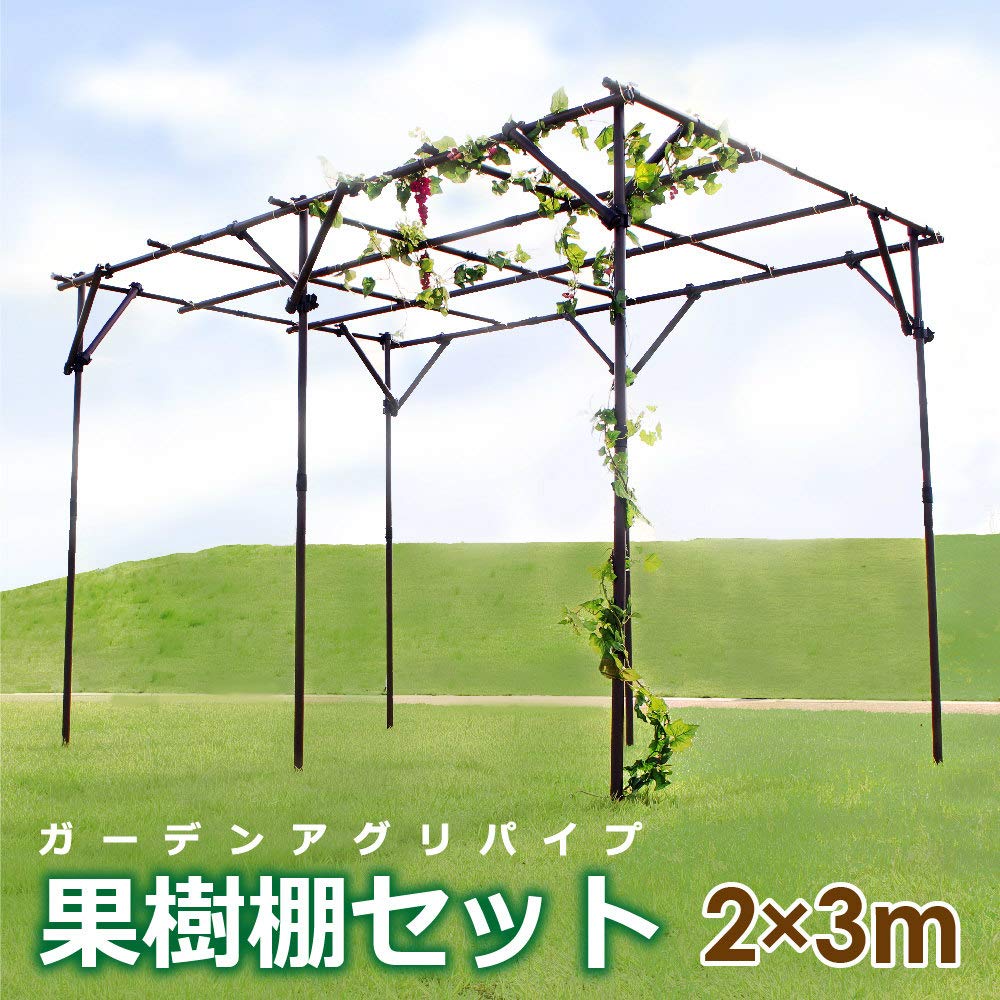 Amazon | DAIM 果樹棚セット 幅2m×奥行3m×高さ2m（※50cm埋め込み時