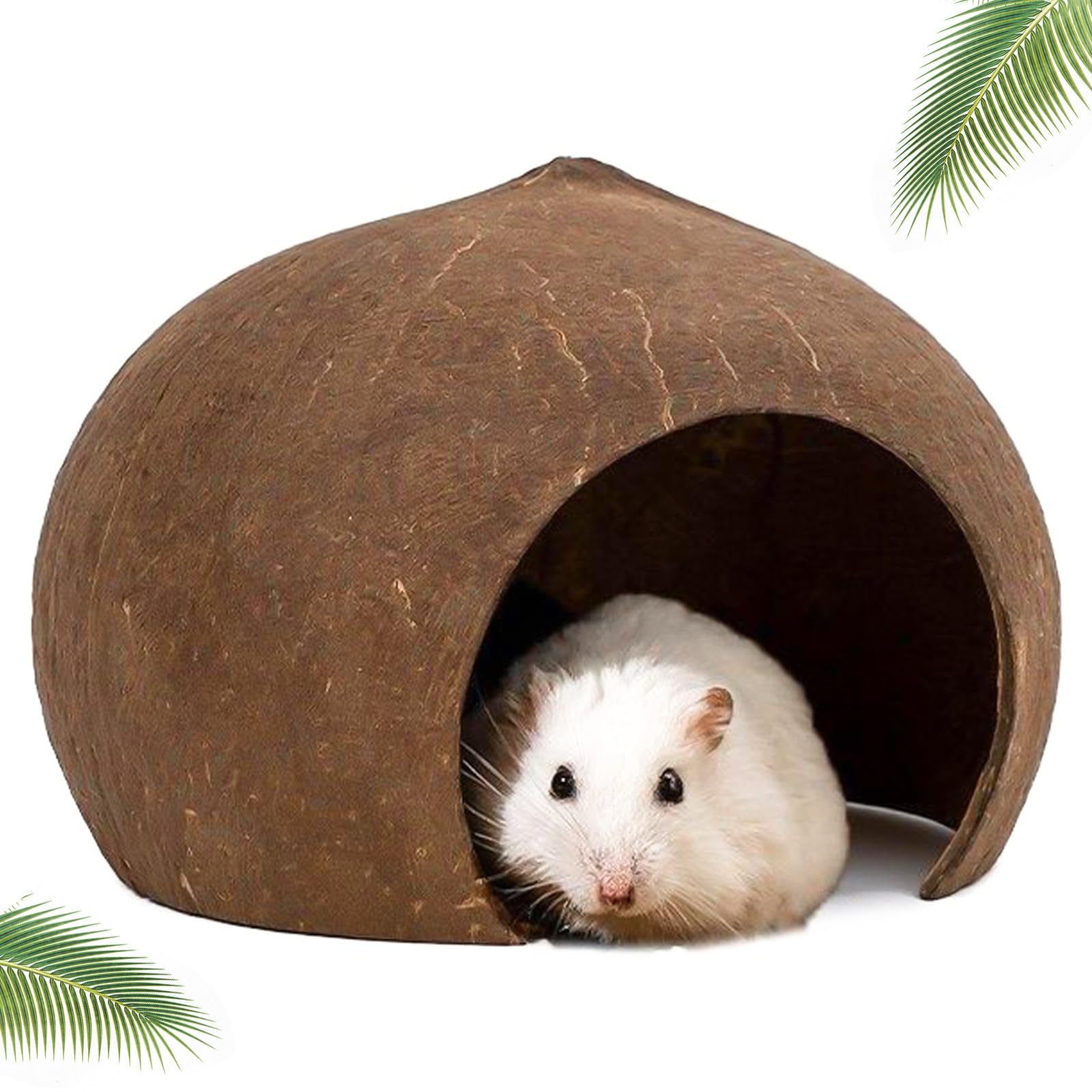 DXQCHDUO Hamster House Coconut Hut,Coconut Shell Hideouts House,Bird House Small Pet Habitats Gecko Nest House Small Animal Hideout Cage Habitat Decor(13.5 * 7.6 * 10.5CM)