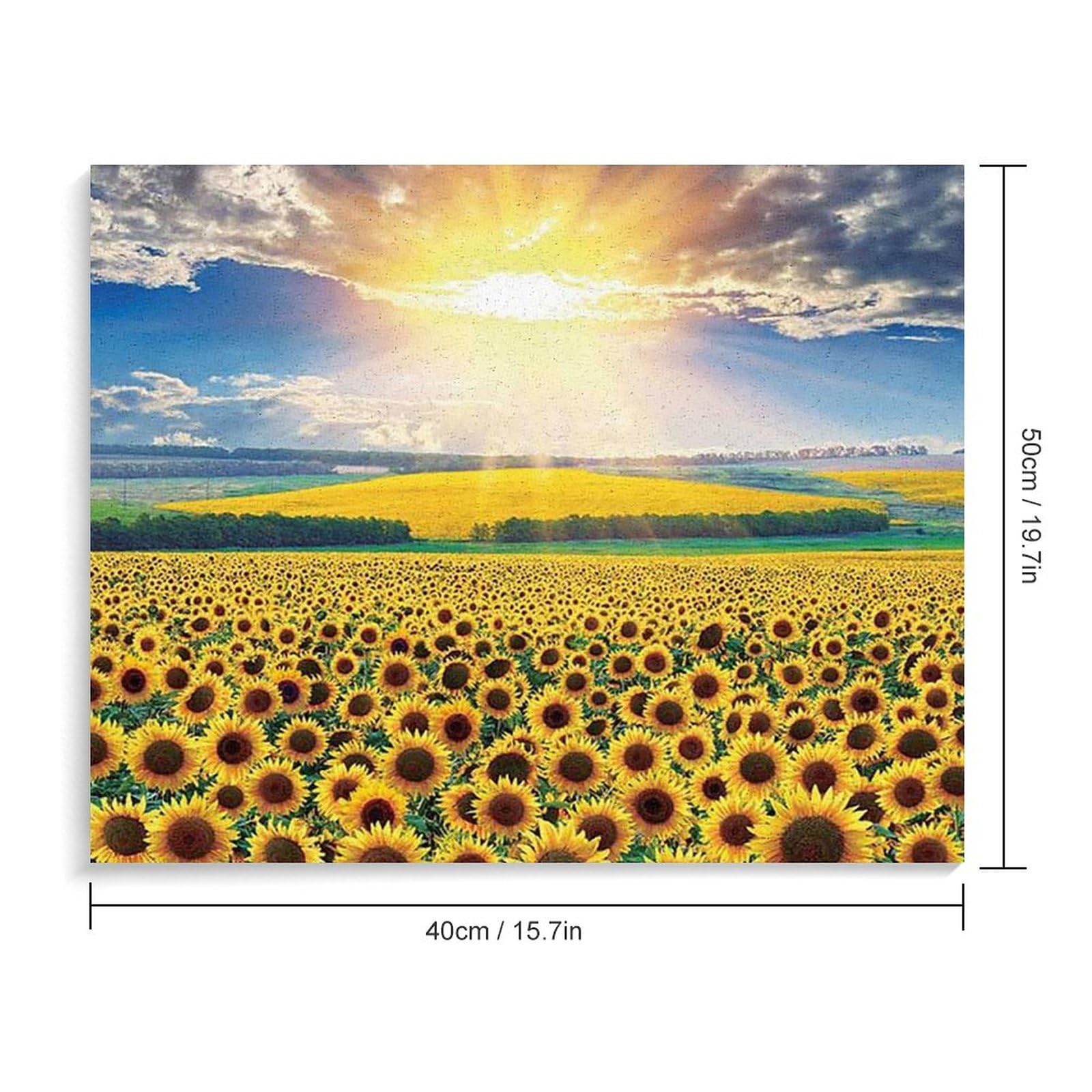 Amazon | 太陽の下のひまわり畑 数字油絵 大規模な壁画の風景