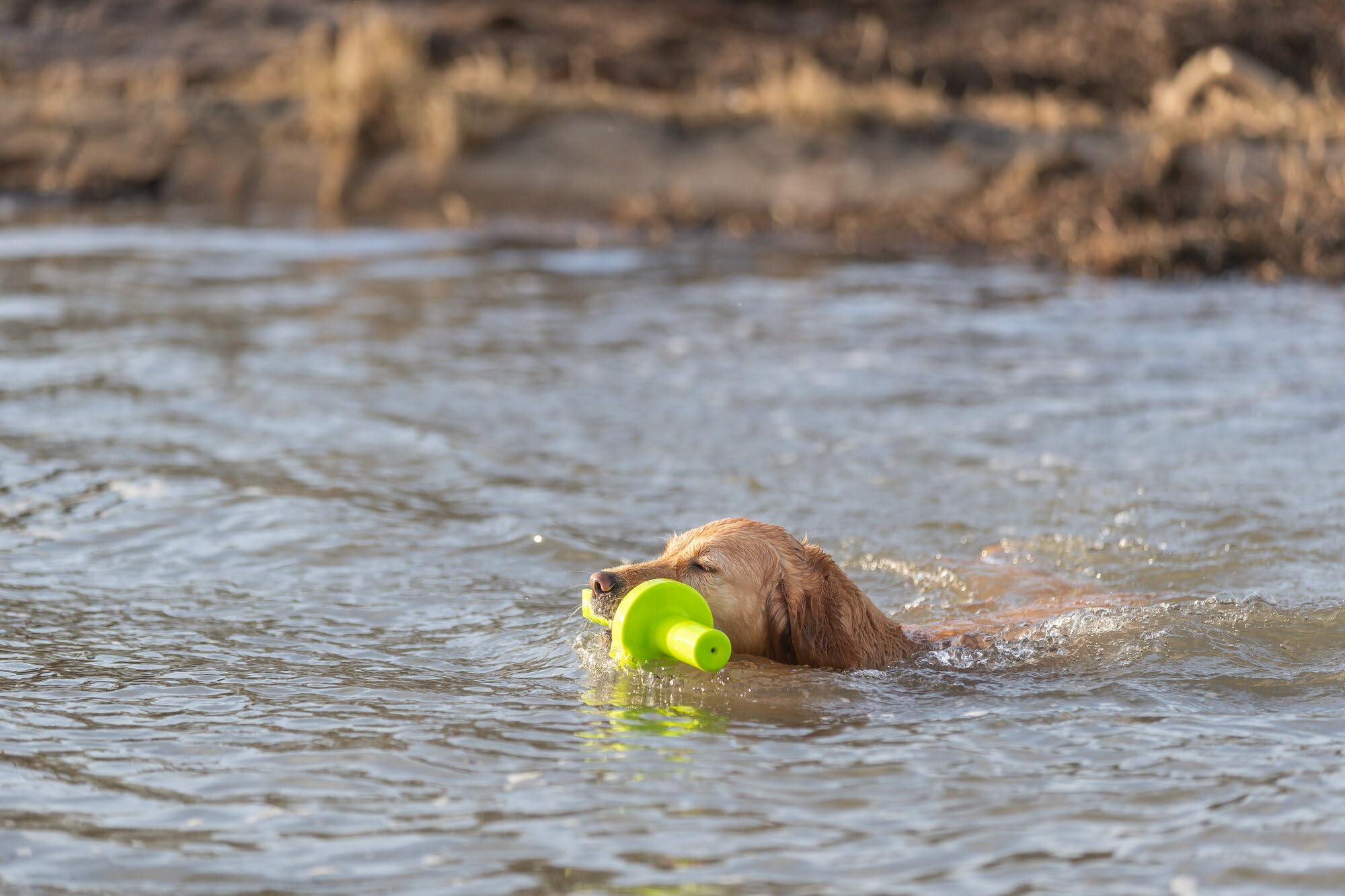 TRIXIE aqua Toy Mot-Aqua jouet aquatique flottant pour chien, 29 cm – jouet pour lancer & rapporter, idéal pour jouer dans l'eau & stimuler l'activité physique