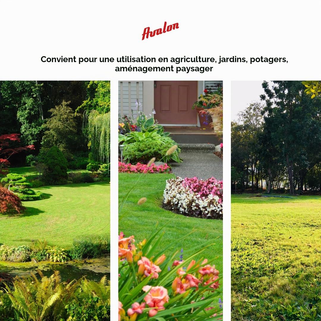 Avalon - Fil Rond en Nylon Universel pour débroussailleuse et Tondeuse (3 mm x 168 m)