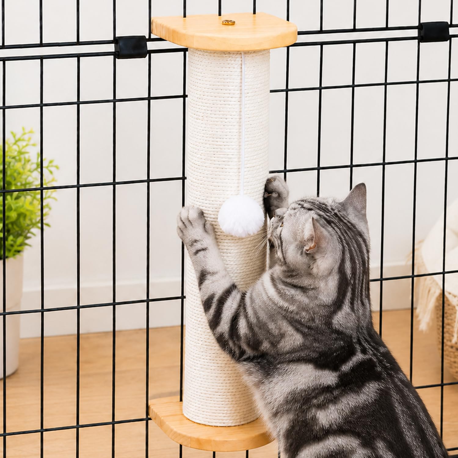 Amazon | PET PINA 猫 爪研ぎ ポール ケージ用 太さ8.5cm 高さ30～60cm