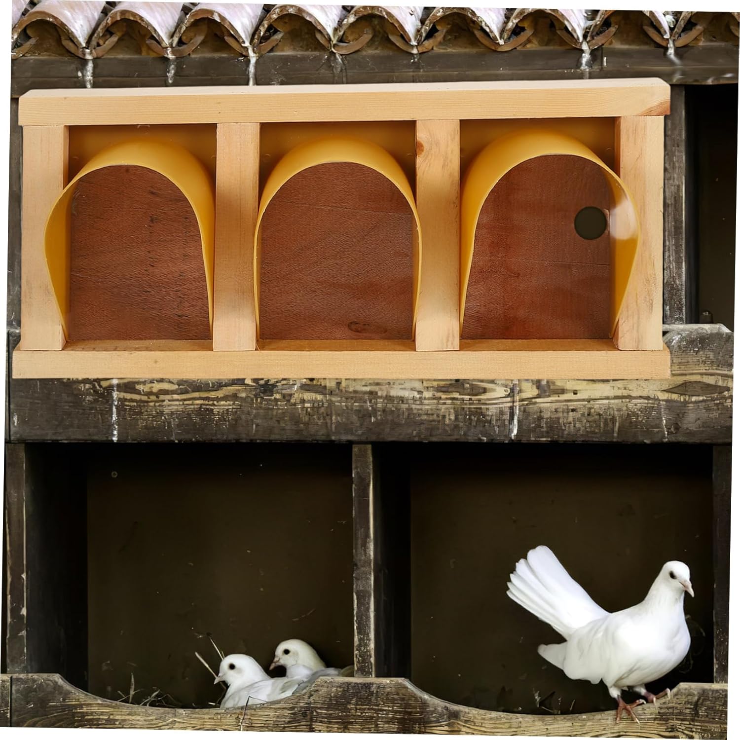 Pigeon Cage Door Birdhouse Entrance for Doves and Pigeons Sturdy Easy Installation Bird Cage Accessory Detachable Design