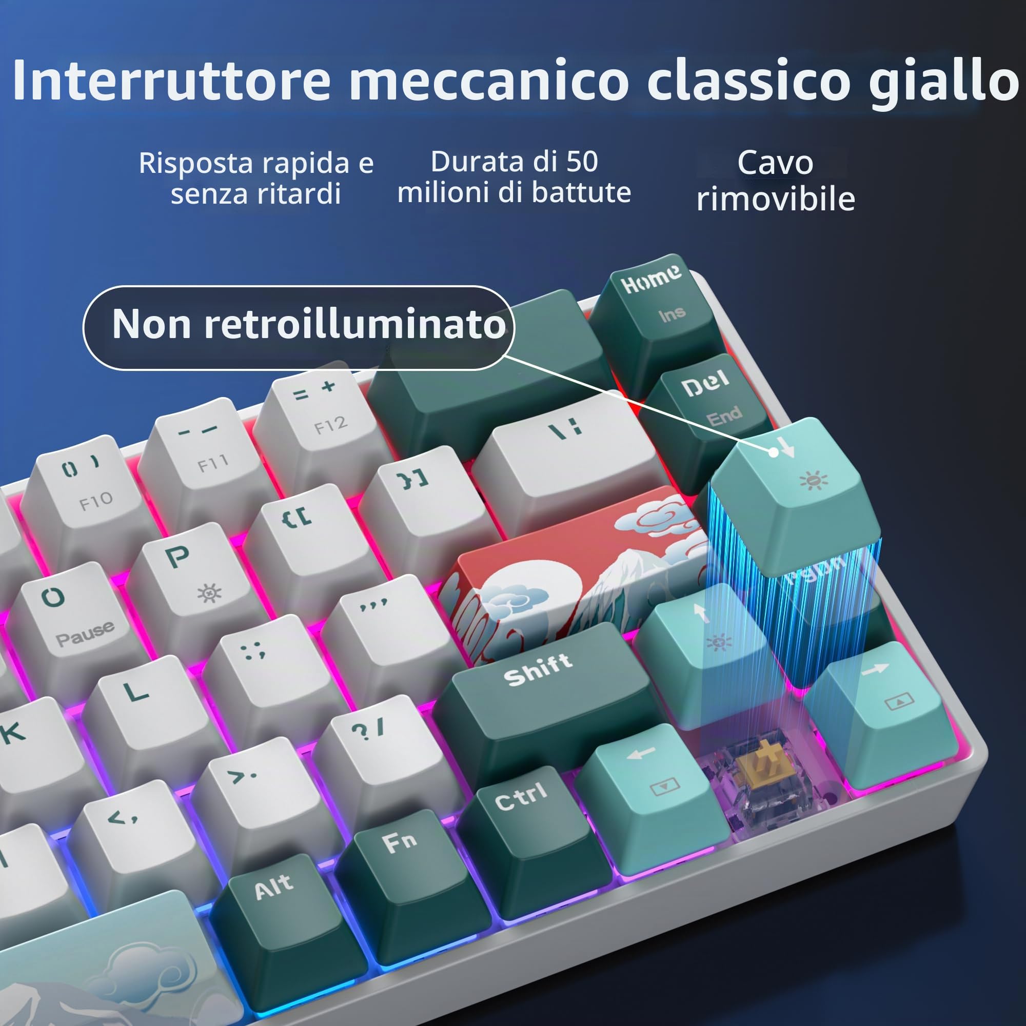 Tastiera Wireless Gaming,65% Tastiera Meccanica Senza Fili-American QWERTY Layout,2.4Ghz/Bluetooth/Type-C Anti-Ghosting, Retroilluminazione RGB per PC
