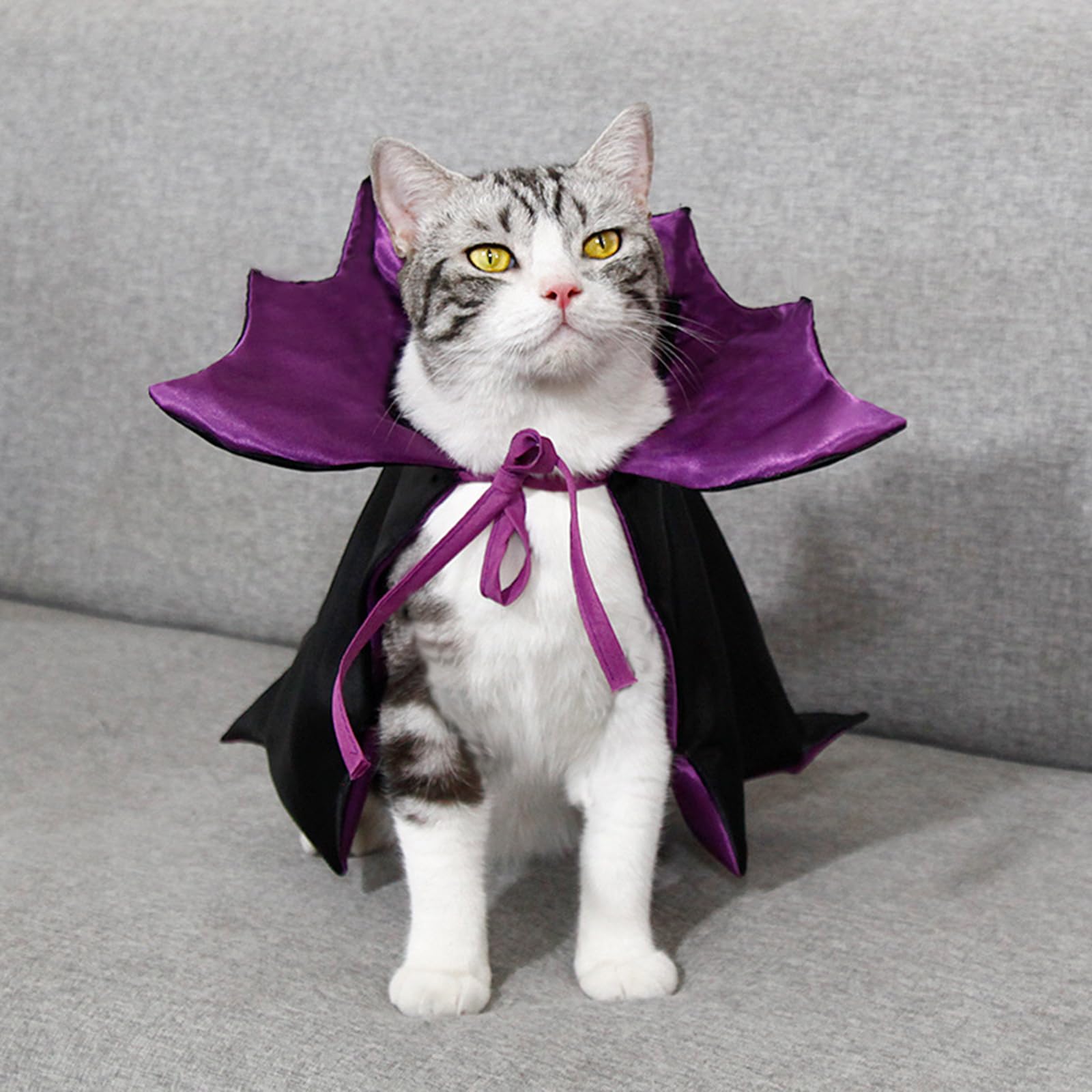 Qiansail Pet Cat Cape Vampire Cloak Halloween Costume Cosplay Apparel Outfit Decor Accessories for Puppy Kitten Small Animals (Black&Purple)