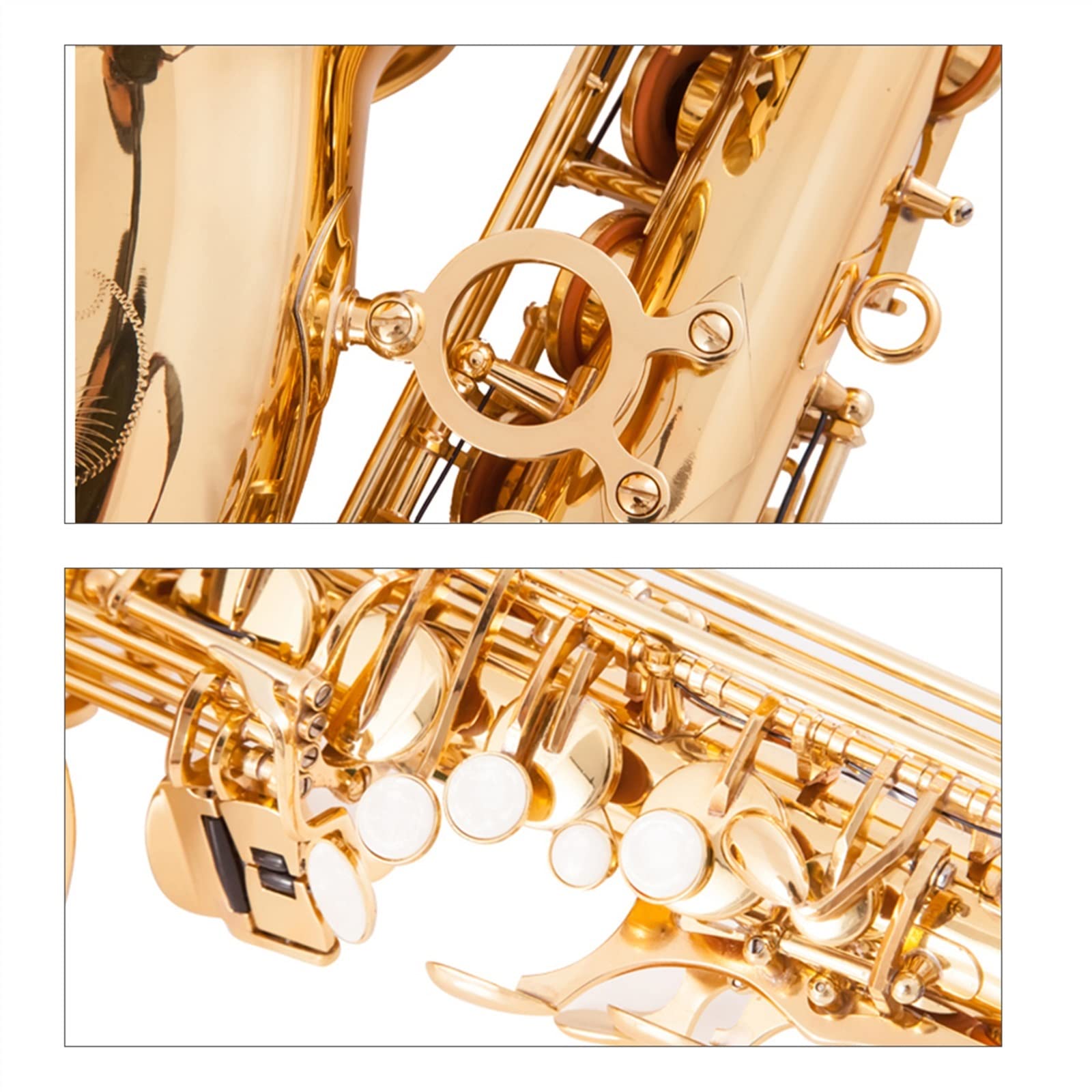 Amazon.com - EB Alto Saxophone Brass Gold Lacquer E-Flat Sax