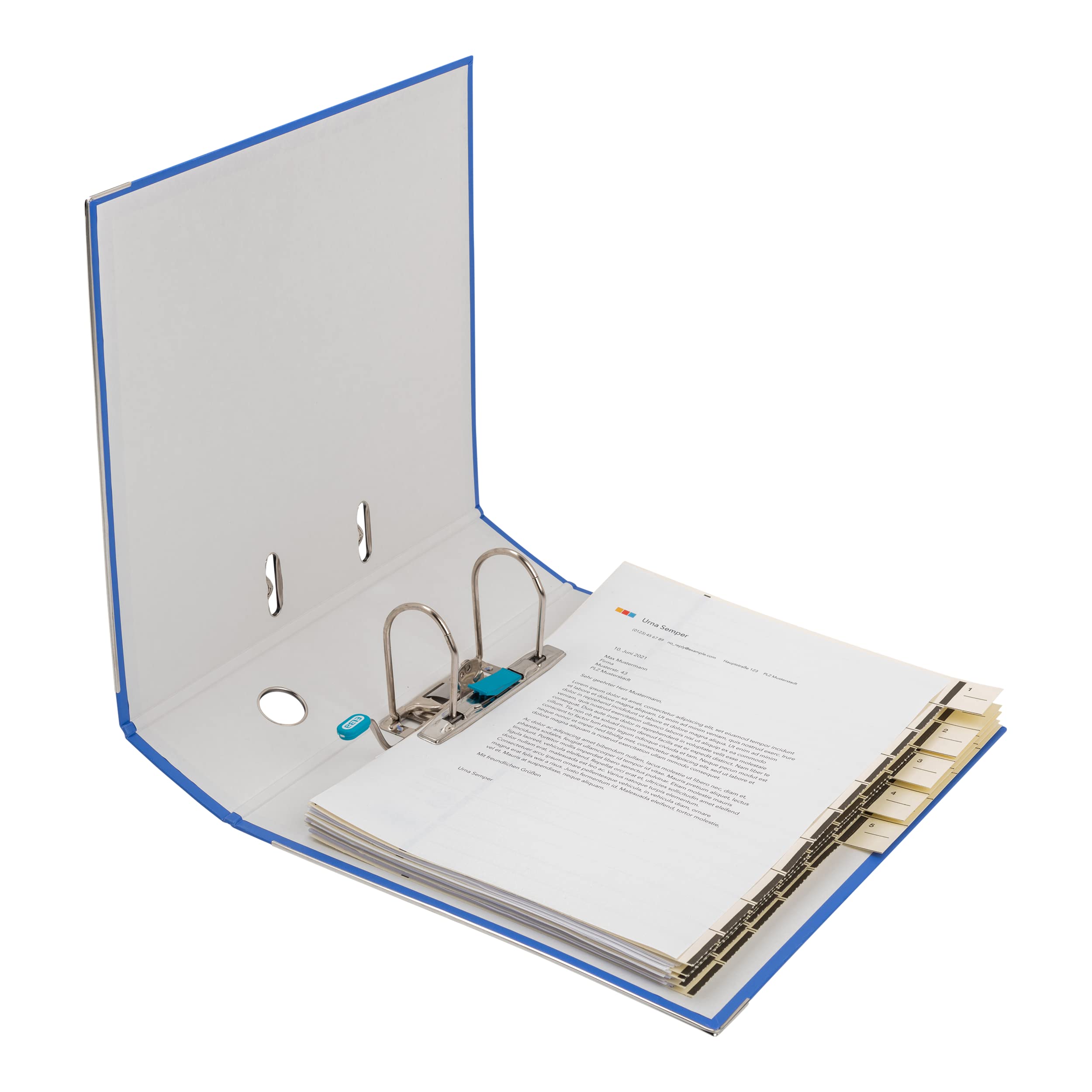 Elba 100202148 - Cartella Smart Pro, DIN A4 10 Pezzi, 8 cm, Blu