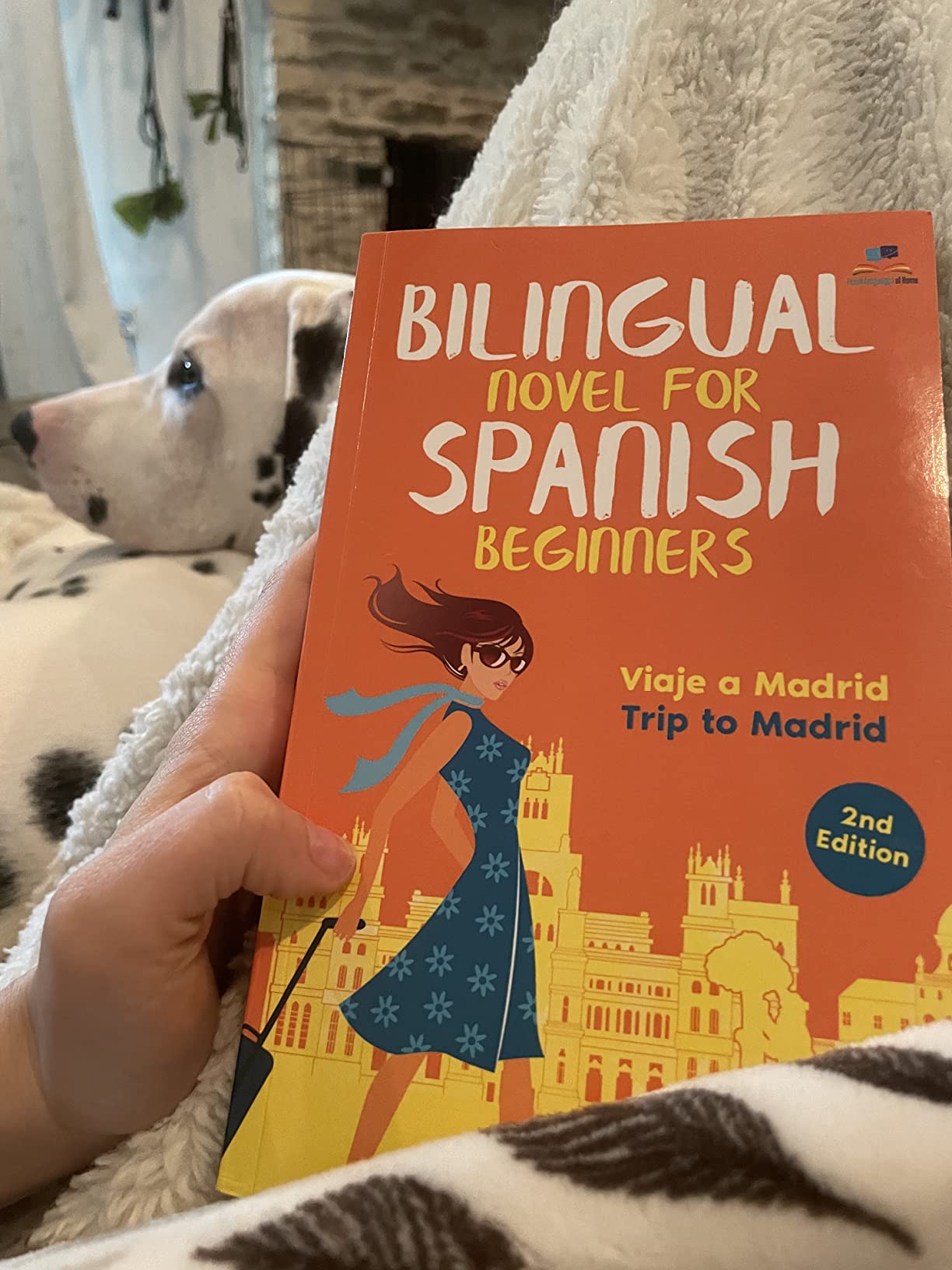 Viaje a Madrid Bilingual Spanish novel for Beginners with English translation (Los