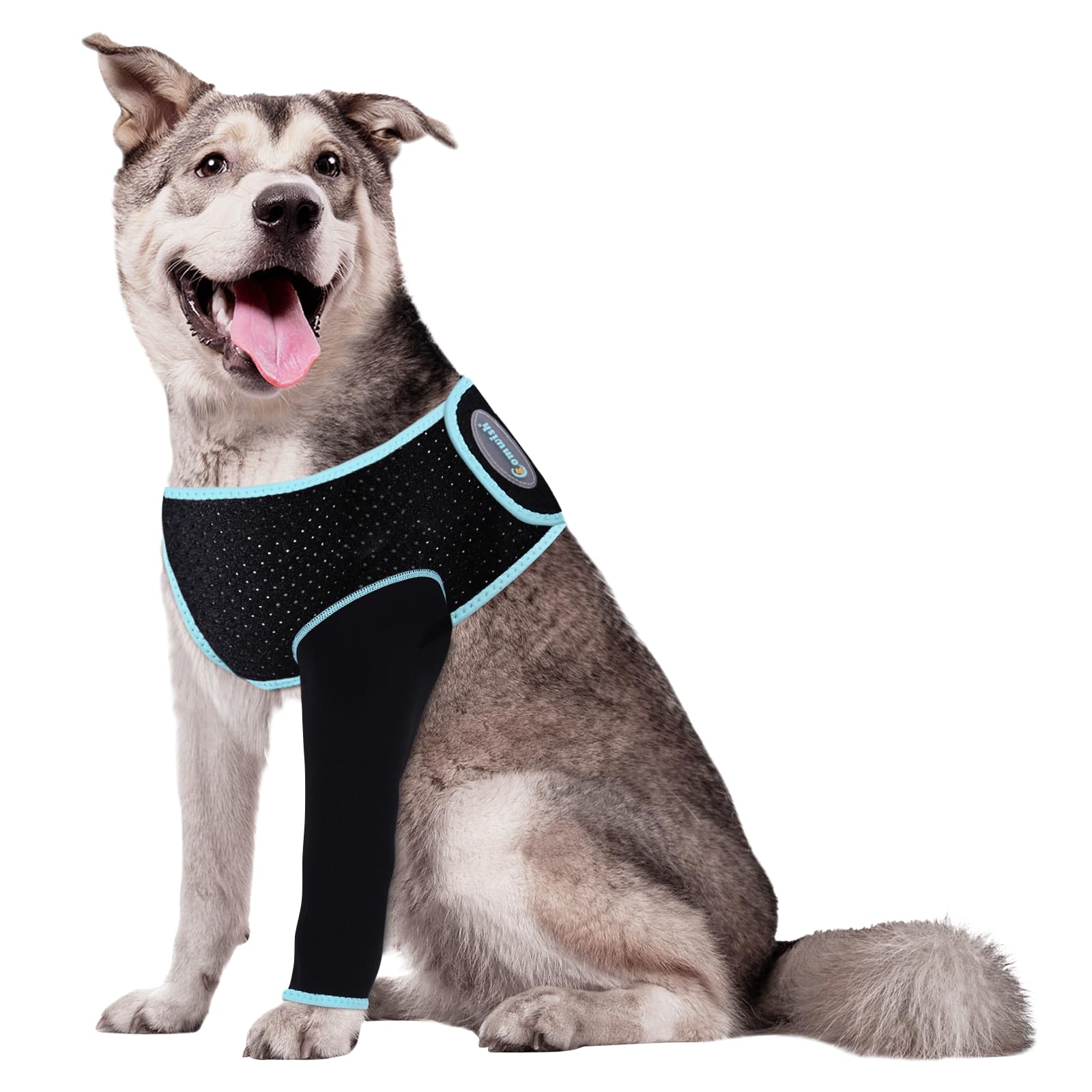 Erholungsmanschette Für Hunde – Schutz Für Vorderbeine Nach OP – Wasserdicht & Bequem