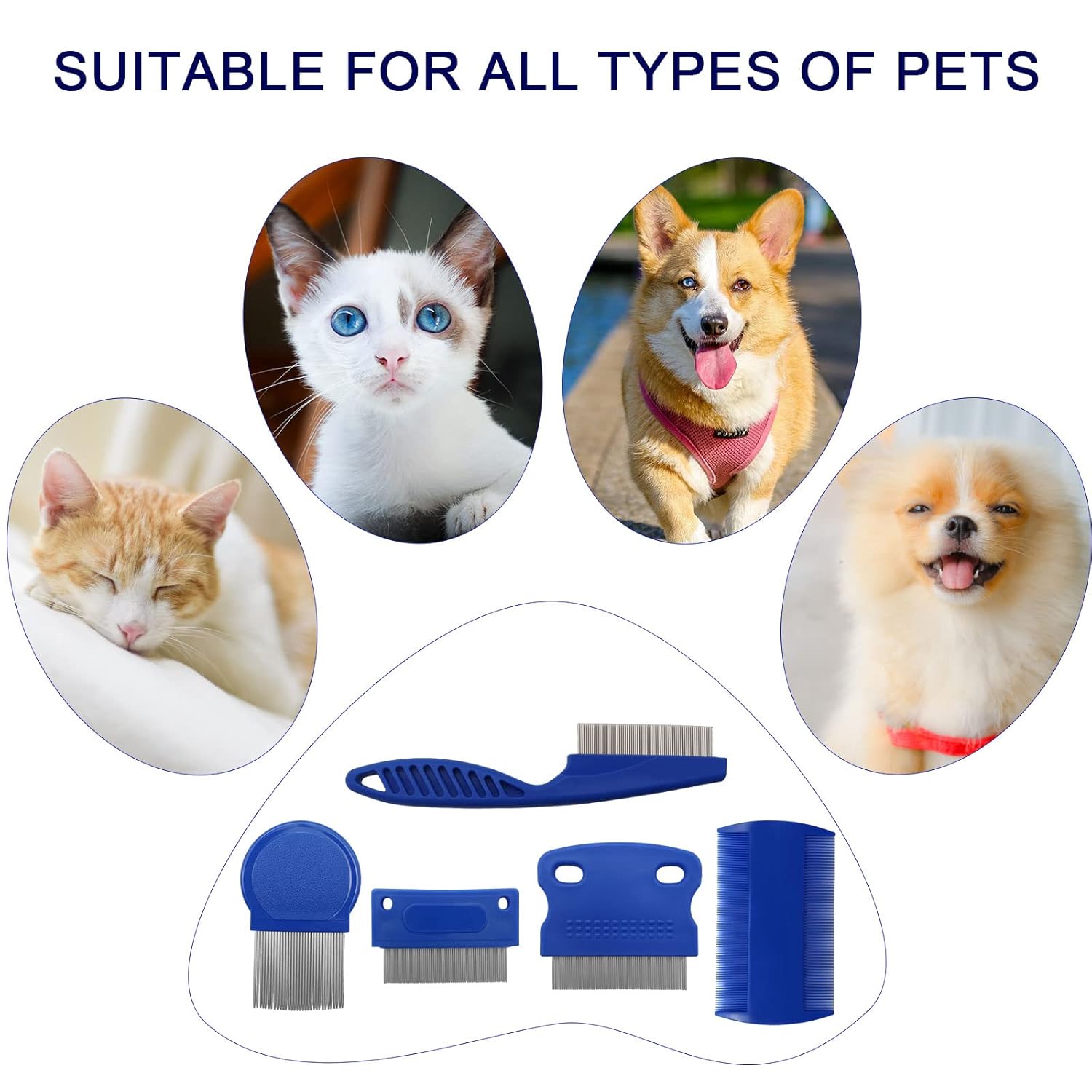 BLMHTWO 6 Pieces Flea Comb, Dog Flea Comb Dog Grooming Flea Comb with Dense Rounded Teeth and 5 Style Stainless Steel and Plastic Tear Stain Comb for Home Travel Pet Shop（Blue） : Pet Supplies