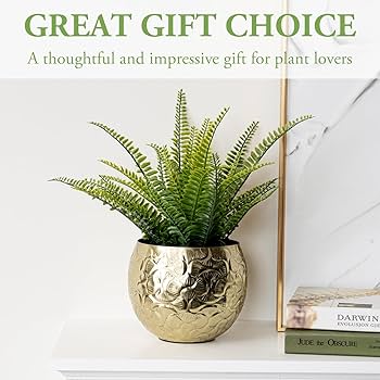 Amazon.com: MyGift 5.5 inch Vintage Style Brass Tone Metal