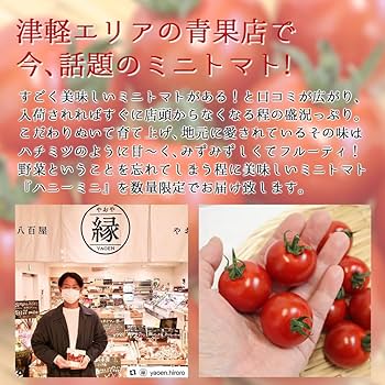 青森県産★ミニトマト専用 2025年 先行受付】超薄皮 ミニトマト 約1.8kg 「 ぷにょぷにょ