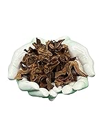 Vista 6 de Flor de Manita