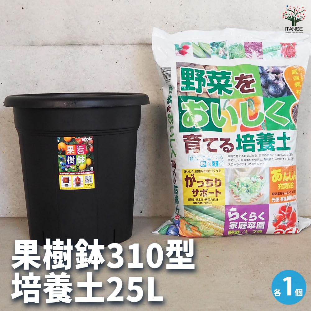 Amazon.co.jp: ITANSE 果樹鉢 365型＆花と野菜の培養土 25L 各1