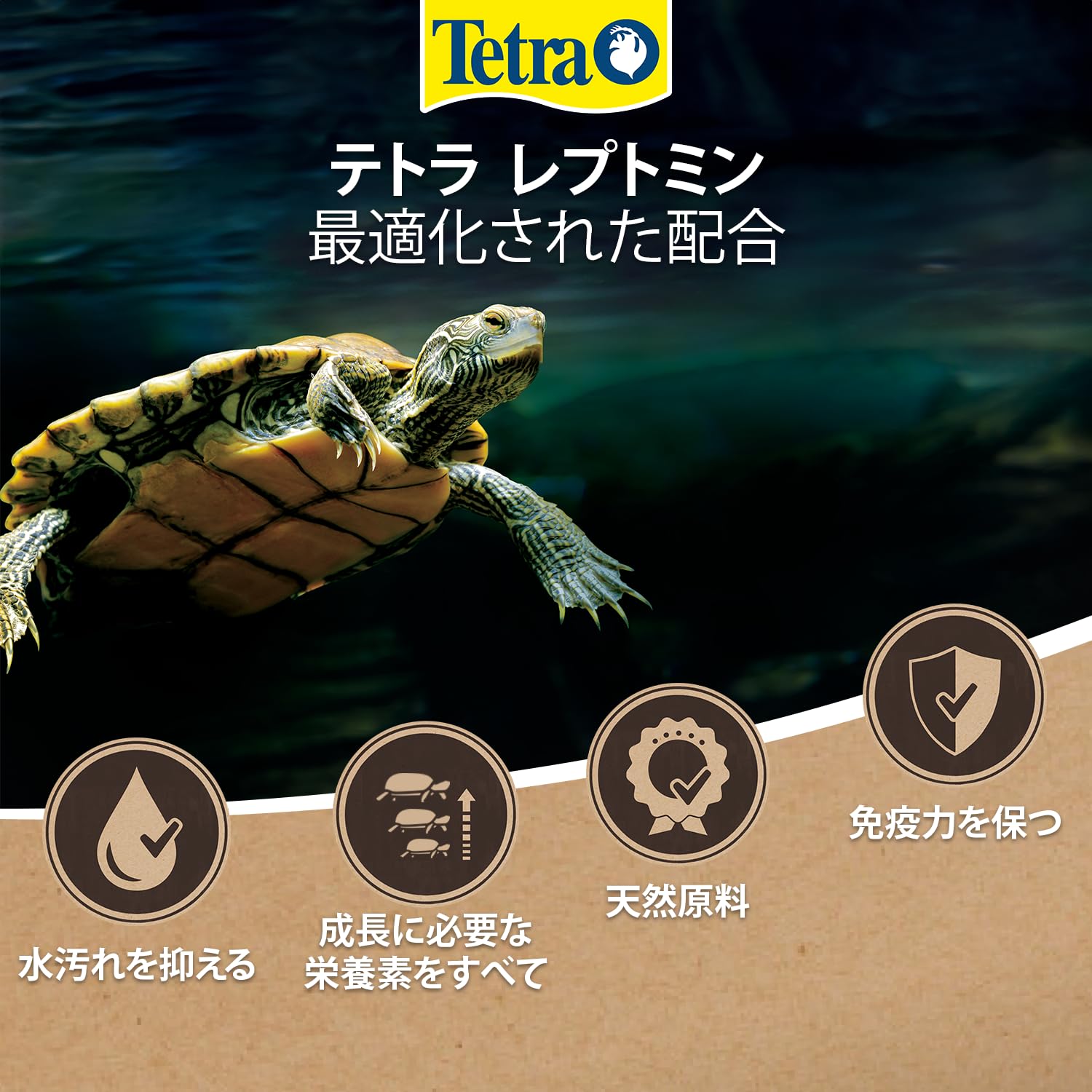 テトラ(Tetra) レプトミン 中粒 70G ニオイ 汚れを抑える カメの主食 天然原料のみ使用の安心フード 着色料 保存料 不使用 水をキレイに保つ 食いつき特化 おかわり給餌 - 5