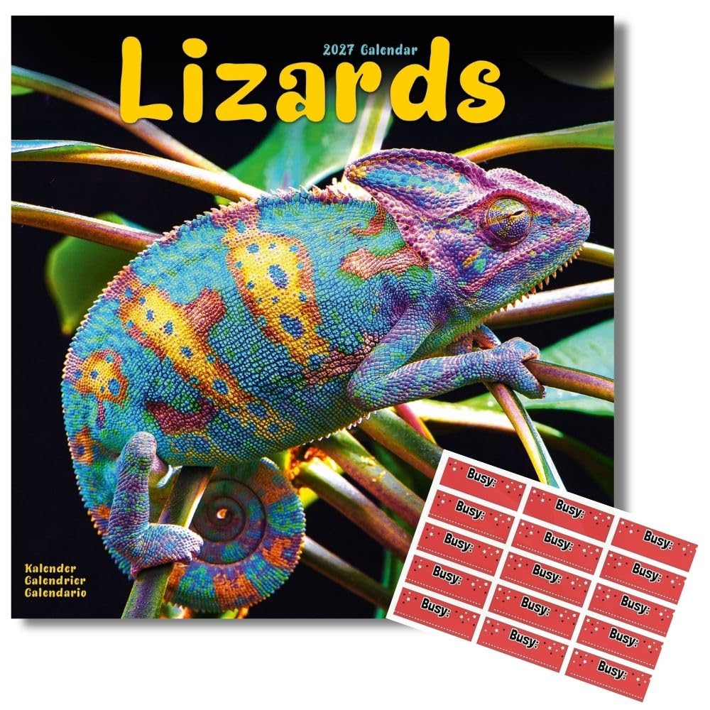Avonside Lizards 2027 Square Calendar with Organisational Stickers