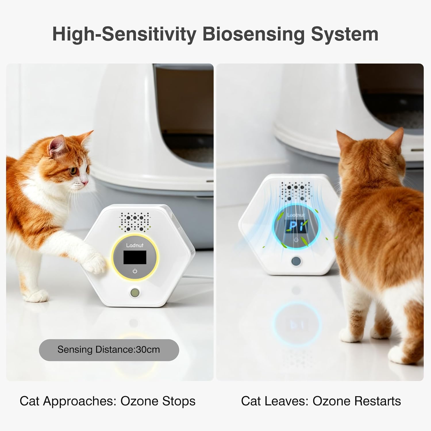 Cat Litter Deodorizer - Ozone & Negative Ion Odor Remover with Sensor Monitor, Cat Odor Eliminator,Safe Air Purifier for Pets(Pearl White)