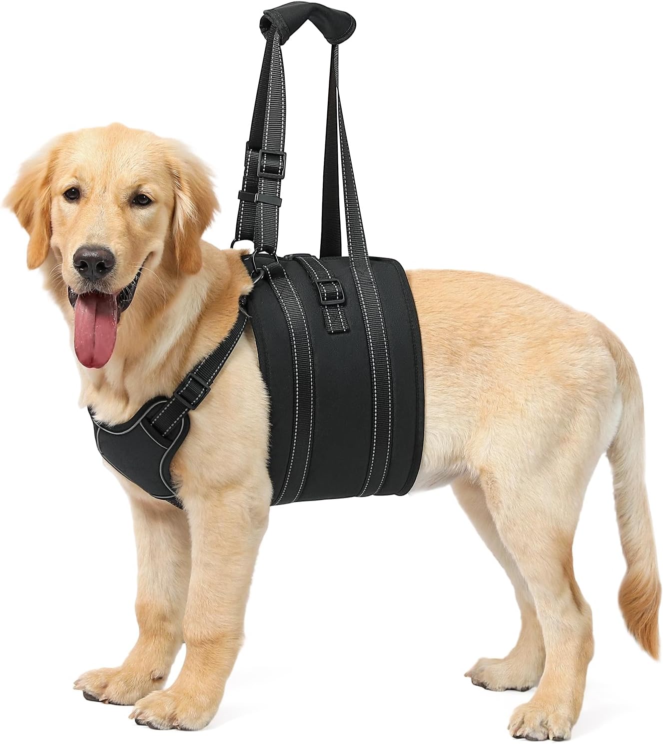 NOYAL Dog Lift Harness Sling - Adjustable Pet Carrier for Senior Dogs with Arthritis Joint Injuries, Emergency Support Rehabilitation Aid for Nail Trimming, Stairs Assistance