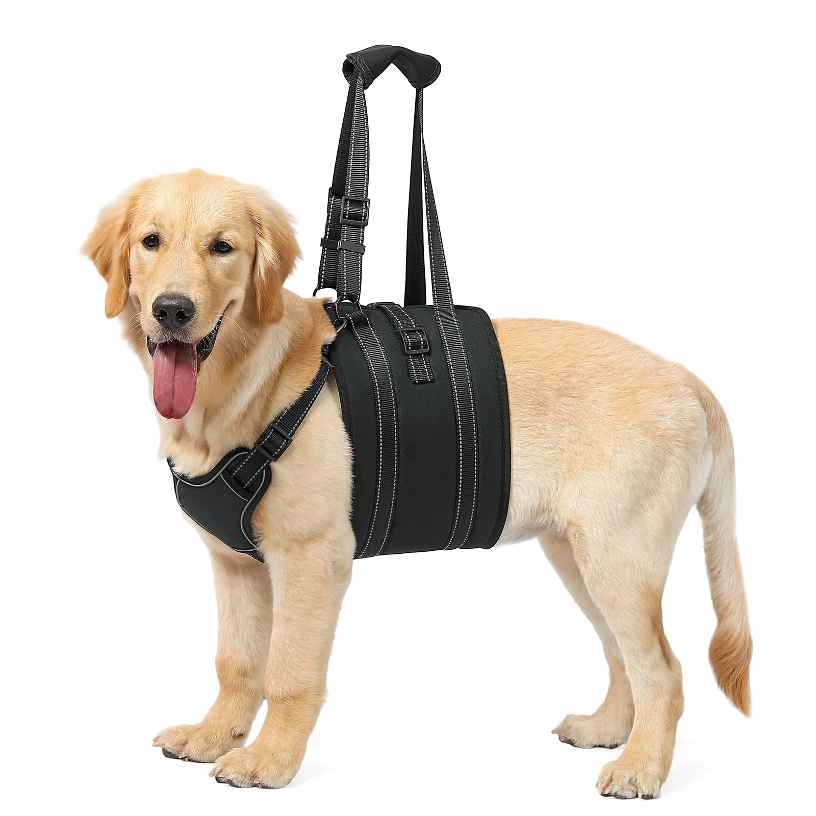 NOYAL Dog Lift Harness Sling