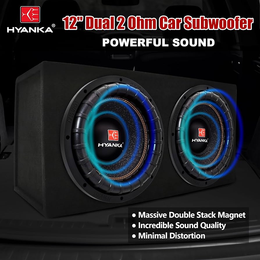 Amazon.com: H YANKA BSP-12-2 12 Inch Subwoofer – 3000W Max