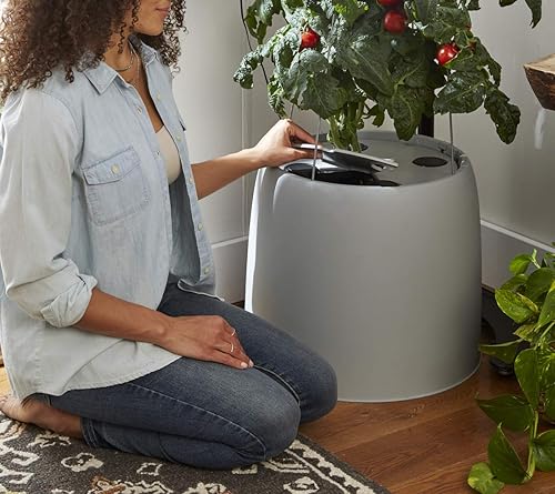 Miniatura 4 de Raíz granja jardín hidropónico sistema, Estándar